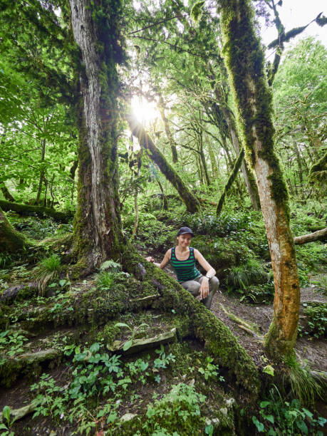 濃い緑色の熱帯雨林の少女 - children only child huddle sun ストックフォトと画像
