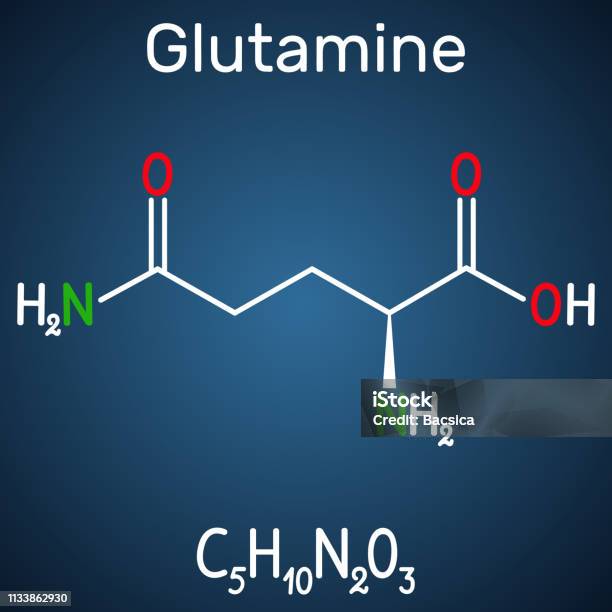 Molécule dacide aminé de glutamine formule chimique structurale sur le fond  bleu foncé vecteurs libres de droits et plus d'images vectorielles de  glutamine - istock