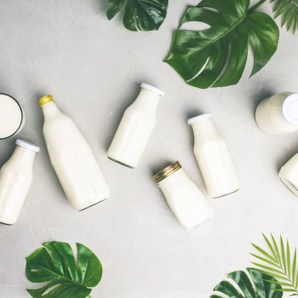 istock Various bottles of milk and tropical leaves 1133870432