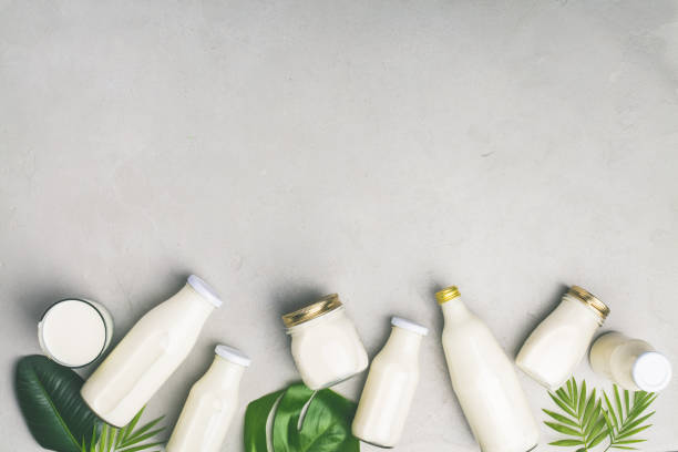 istock Various bottles of milk and tropical leaves 1133870442