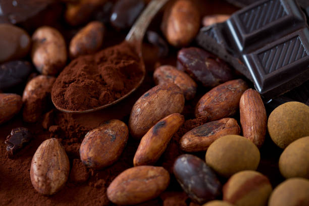istock cocoa and chocolate candies 1133870535