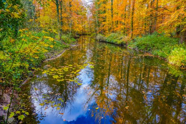 istock Wonderful lake in Germany 1133872405
