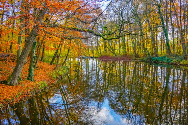istock Wonderful lake in Germany 1133873011