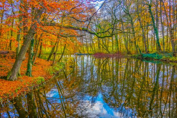 istock Wonderful lake in Germany 1133873028