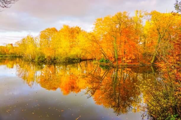 istock Wonderful lake in Germany 1133873075