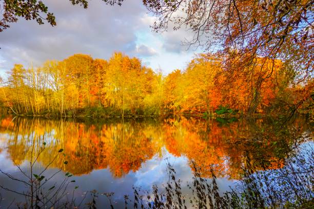 istock Wonderful lake in Germany 1133873081