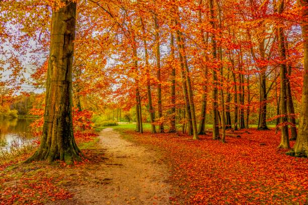 istock Wonderful lake in Germany 1133873311