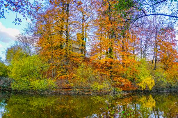 istock Wonderful lake in Germany 1133873321