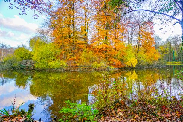 istock Wonderful lake in Germany 1133873339
