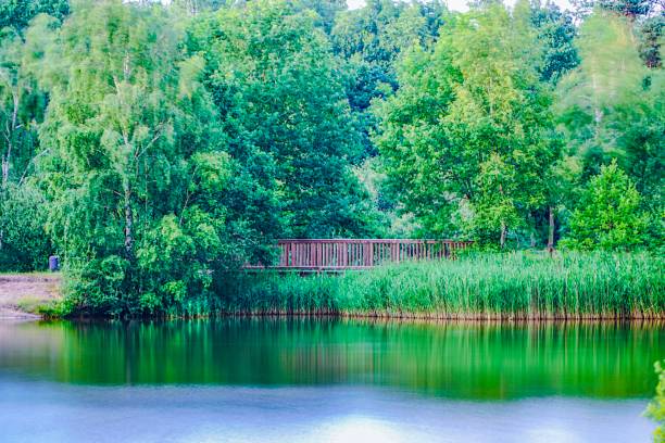 istock Wonderful lake in Germany 1133873392