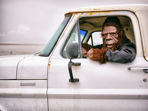 A Bigfoot Sasquatch character driving an old pickup truck.