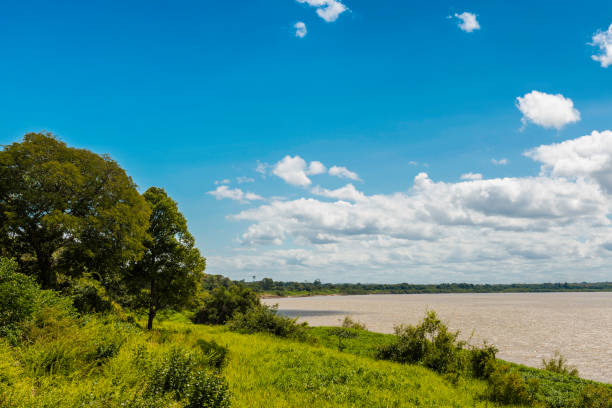 istock View of the Orinoco River. Bolivar State, Venzuela 1133875005