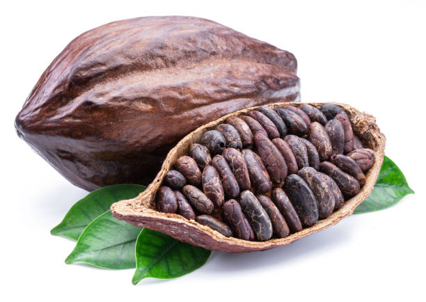 istock Cocoa pods and cocoa beans -chocolate basis. 1133882388