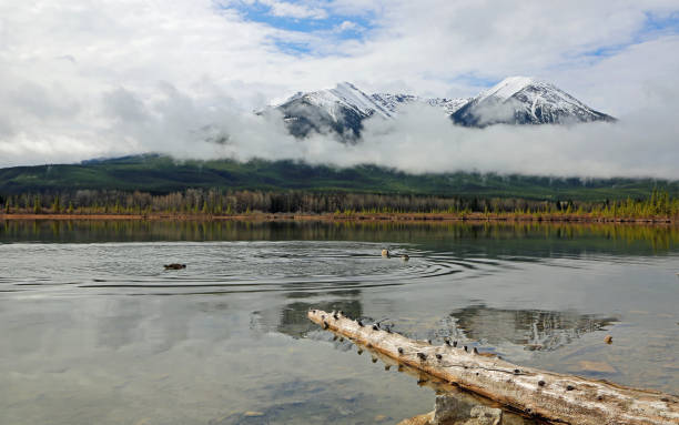 istock Sundance Peak and wooden log 1133882488