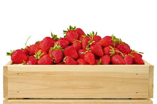 Wooden clean box with bright, red juicy strawberries with bio field in the village on a white background