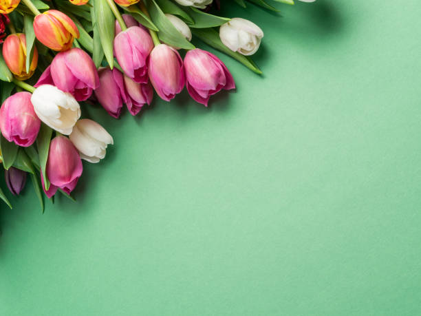 istock Colorful tulip bouquet. 1133884721