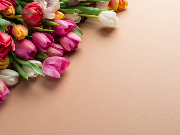 istock Colorful  bouquet of tulips. 1133885027