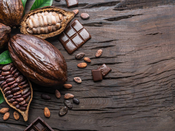 istock Cocoa pod, cocoa beans and chocolate. 1133886586
