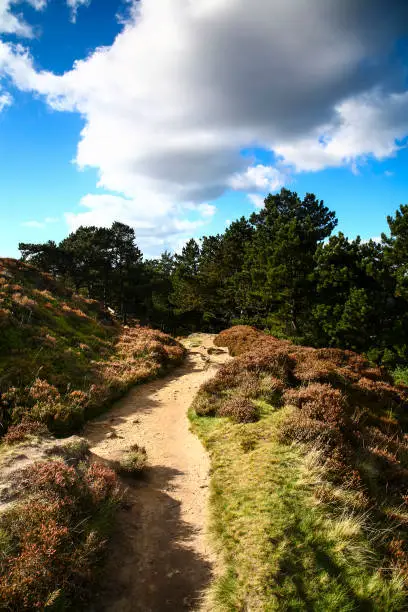 View of Ilkley moor West Yorkshire UK