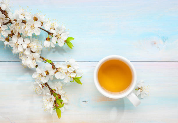 чашка чая и ветки цветущего абрикоса на старом светло-голубом деревянном столе. - warm welcome стоковые фото и изображения
