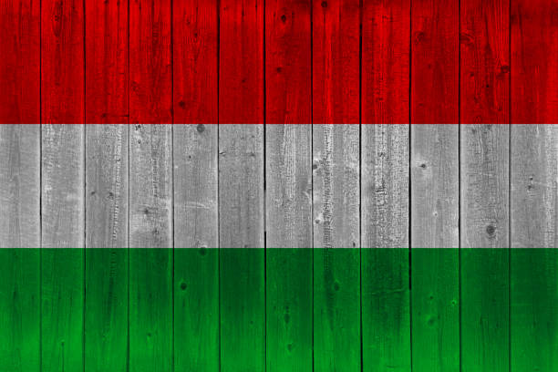 bandera de hungría pintada en madera vieja tablón - hungary flag banner dirty fotografías e imágenes de stock