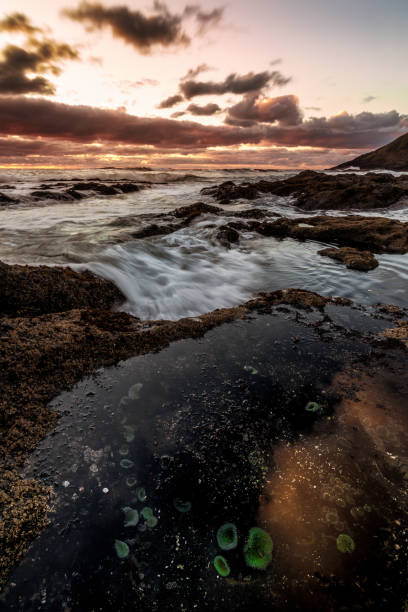 istock Sunset at a Beautiful Oregon Beach Overlooking the Pacific Ocean 1133889829