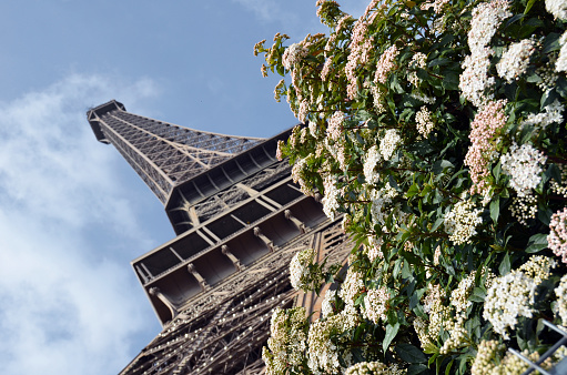 Eiffel tower view from trocadero esplanade viewpoint, paris, france