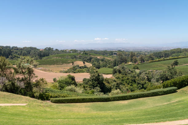 istock beautiful view from a vine estate 1133895830