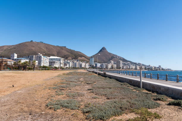 istock Looking at Signal Hill and Lions Head 1133895910