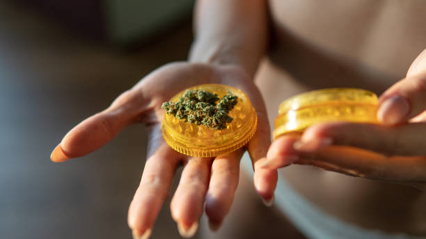 istock grinding marijuana for smoking cannabis. Medical Marijuana 1133895920