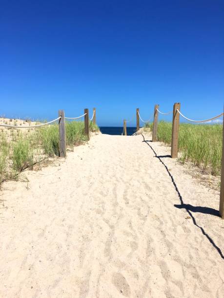 lối vào bãi biển sandy - ngày nắng với đại dương, bầu trời xanh - cape cod bức ảnh hình ảnh sẵn có, bức ảnh & hình ảnh trả phí bản quyền một lần