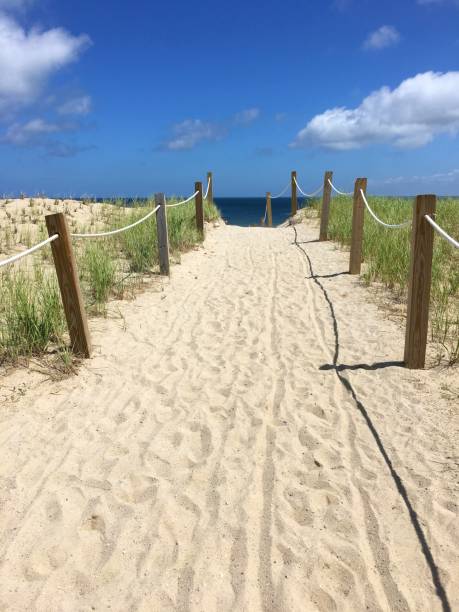 istock Sandy Beach Entrance Walkway - Sunny Day with Ocean, Clouds 1133897100