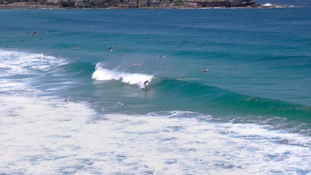 istock a surfer rides a wave at bondi beach, australia's famous beach 1133900371