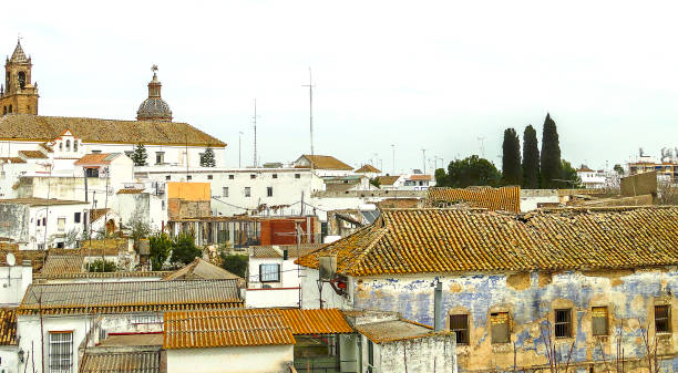 another view of Utrera - town of Seville. Broken roofs, beautiful old houses, orange roofs. Andalusia