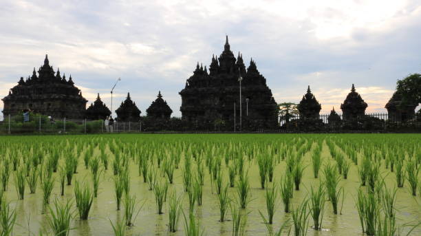 istock temple plaosan Indonesia 1133913234