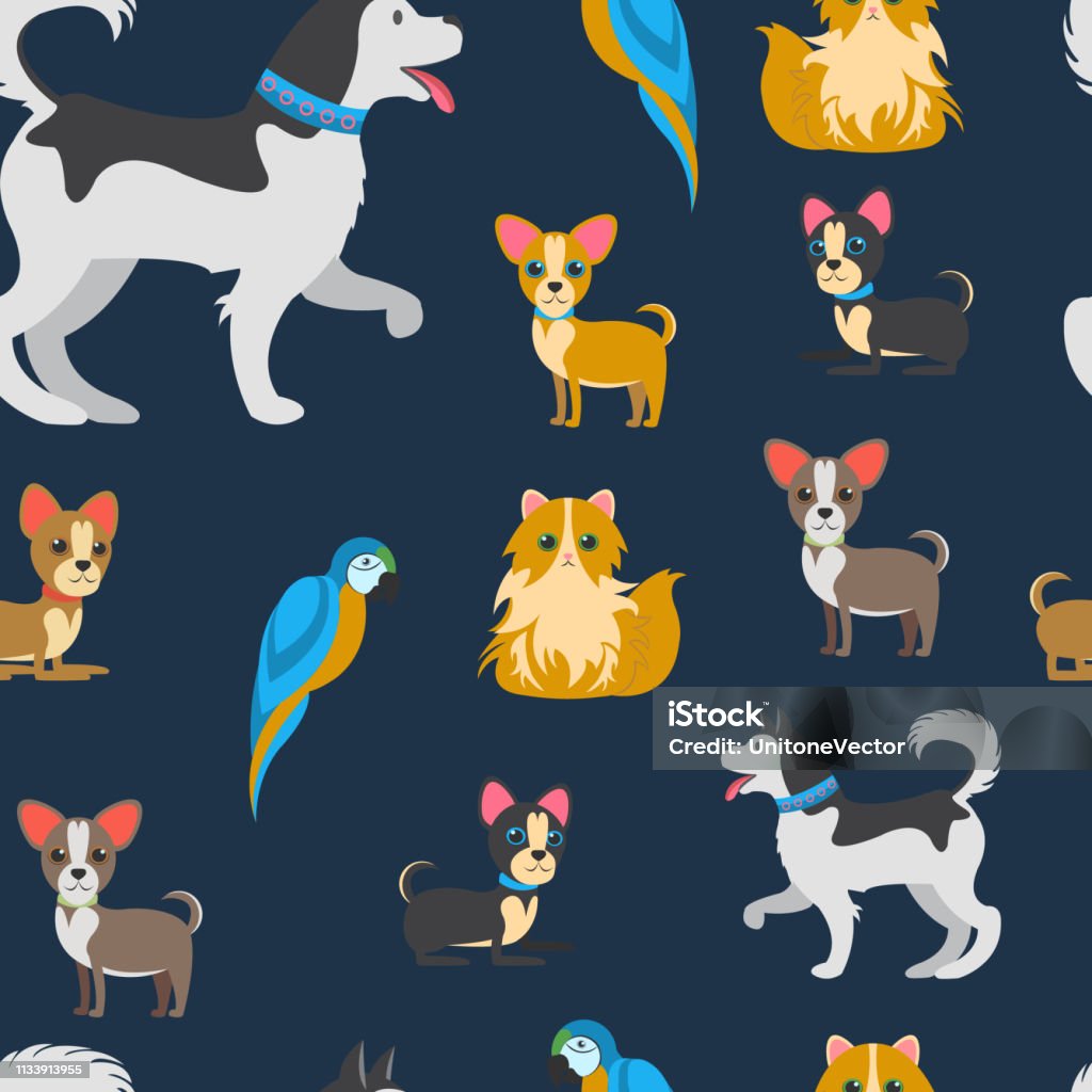 Cartoon Pets Vector Color Flat Seamless Pattern Cartoon Pets Vector Color Flat Seamless Pattern. Flat Home Animals Character on Blue Background. Husky, Pom, Macaw, Bolognese, Chihuahua. Backdrop, Wrapping Paper, Wallpaper for Vet Clinic, Pet Shop Chihuahua - Dog stock vector