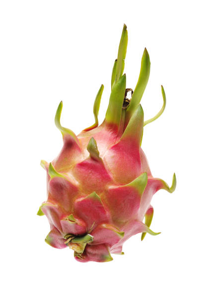 istock Pitaya or Dragon Fruit isolated against white background 1133916358