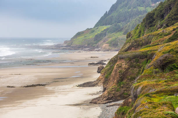 istock Oregon rocky coastline Pacific Northwest 1133918869