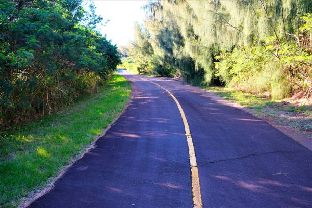 istock Empty street in a forest area  Waianae, Oahu, HI 1133919449