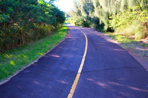 istock Empty street in a forest area  Waianae, Oahu, HI 1133919450