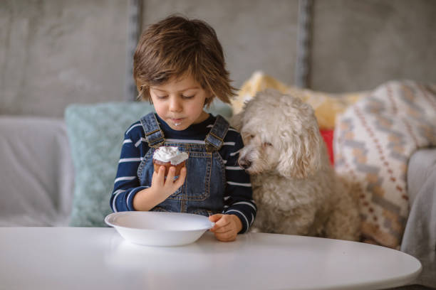 ragazzo divertente che condivide il suo biscotto con il suo animale domestico - cane sugar foto e immagini stock