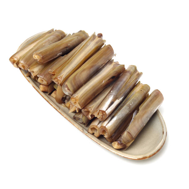 istock Razor clams isolated on white background. 1133919541