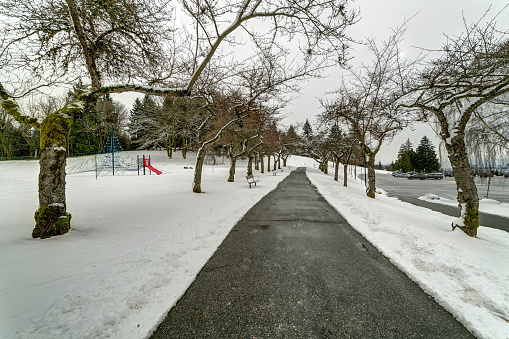After a snowstorm. A public park in the region of Montreal in Canada.