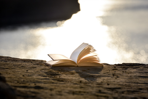 Conceptual picture of reading at beach during summer time. Open book is placed on a sand, with sea in the background