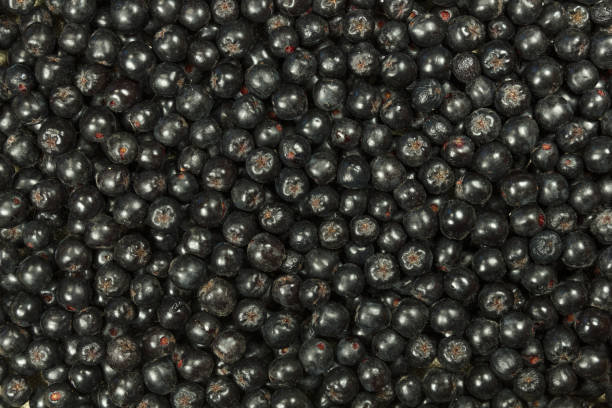 istock Background of black chokeberry berries. 1133928140