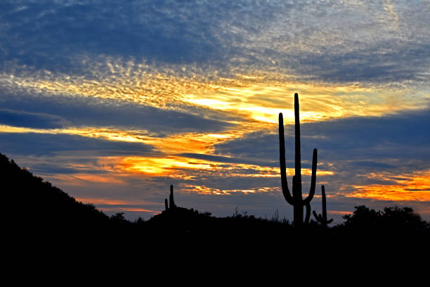 istock Arizona Sunset in March 1133928792