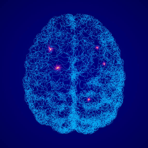 istock Human brain consist of dots connected by lines in top view 1133928805
