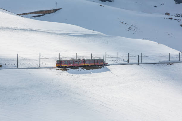 tren jungfraujoch pasando la pista de nieve en la estación kleine scheidegg-wengen, suiza - jungfrau train winter wengen fotografías e imágenes de stock