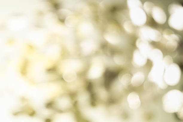 istock White and golden gray bokeh lights. Abstract blurred spots background 1133932848