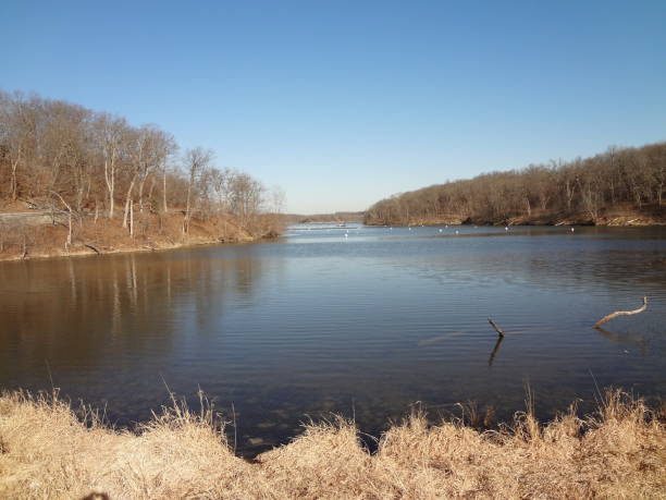 istock Lake and Surrounding Forest with Trails in Park in Early Spring 1133933833
